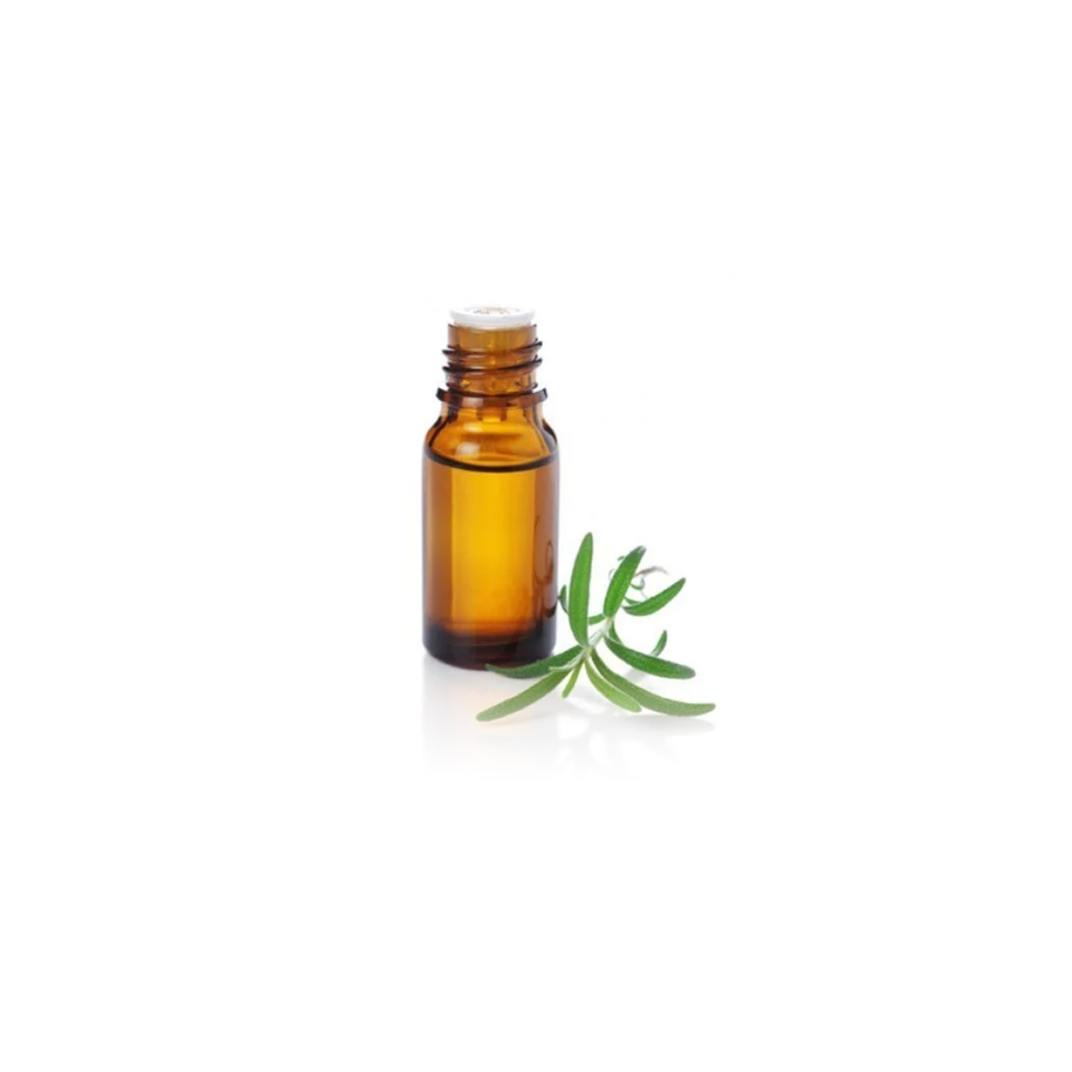 Eucalyptus Oil