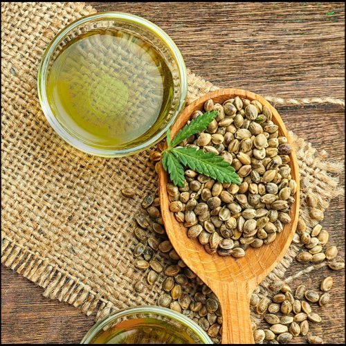 Hemp Seed Oil