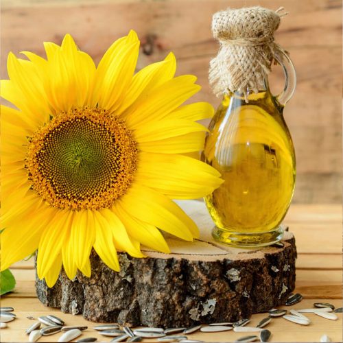 Sun Flower Oil